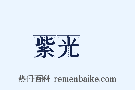 紫光閣是什么意思的图片